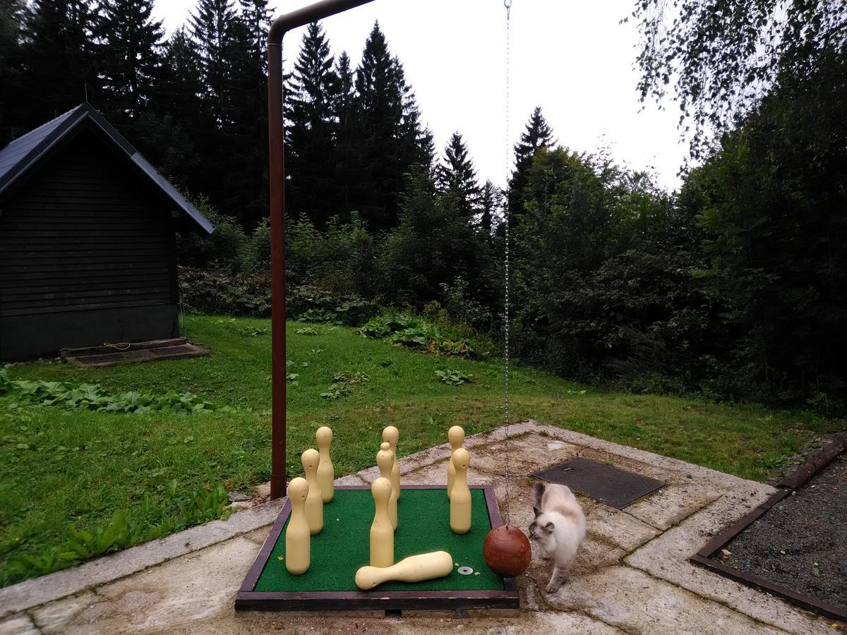 Horska Chata Svetlanka Rokytnice nad Jizerou Buitenkant foto